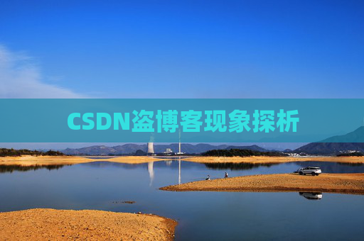 CSDN盗博客现象探析